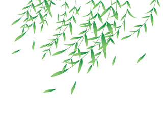 绿色卡通手绘春天春分春季柳叶柳树清明节元素PNG素材